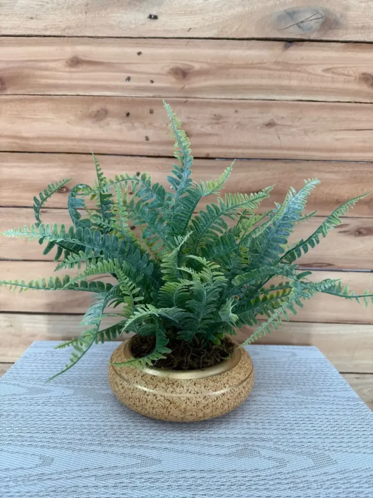 Planta decorativa para banheiro: 12 ideias elegantes para transformar seu ambiente 2 planta decorativa para banheiro