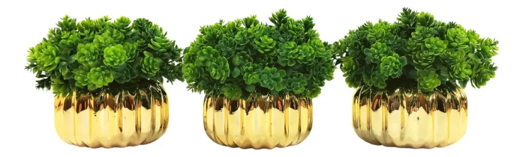 Planta decorativa para banheiro: 12 ideias elegantes para transformar seu ambiente 13 planta decorativa para banheiro