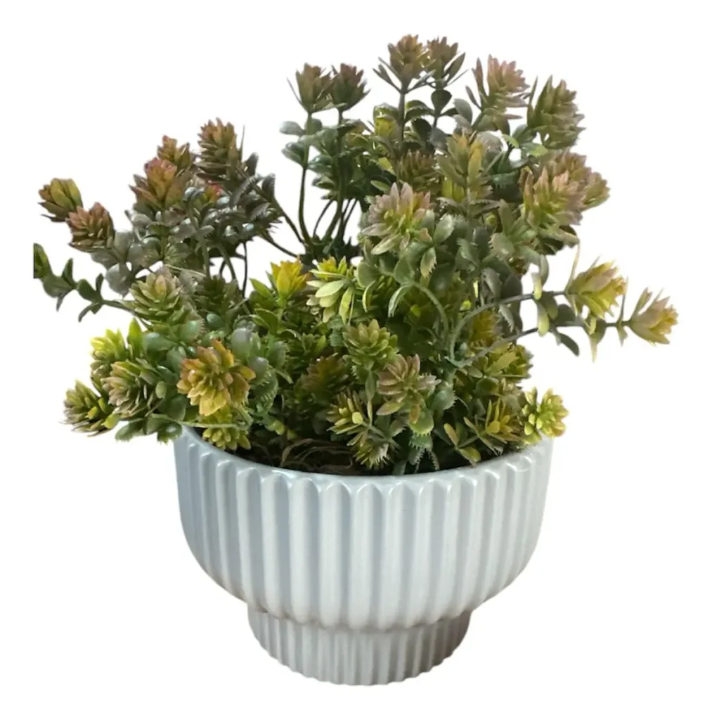 Planta decorativa para banheiro: 12 ideias elegantes para transformar seu ambiente 4 planta decorativa para banheiro