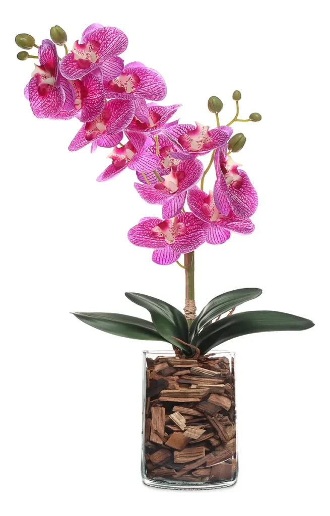 Planta decorativa para banheiro: 12 ideias elegantes para transformar seu ambiente 7 planta decorativa para banheiro