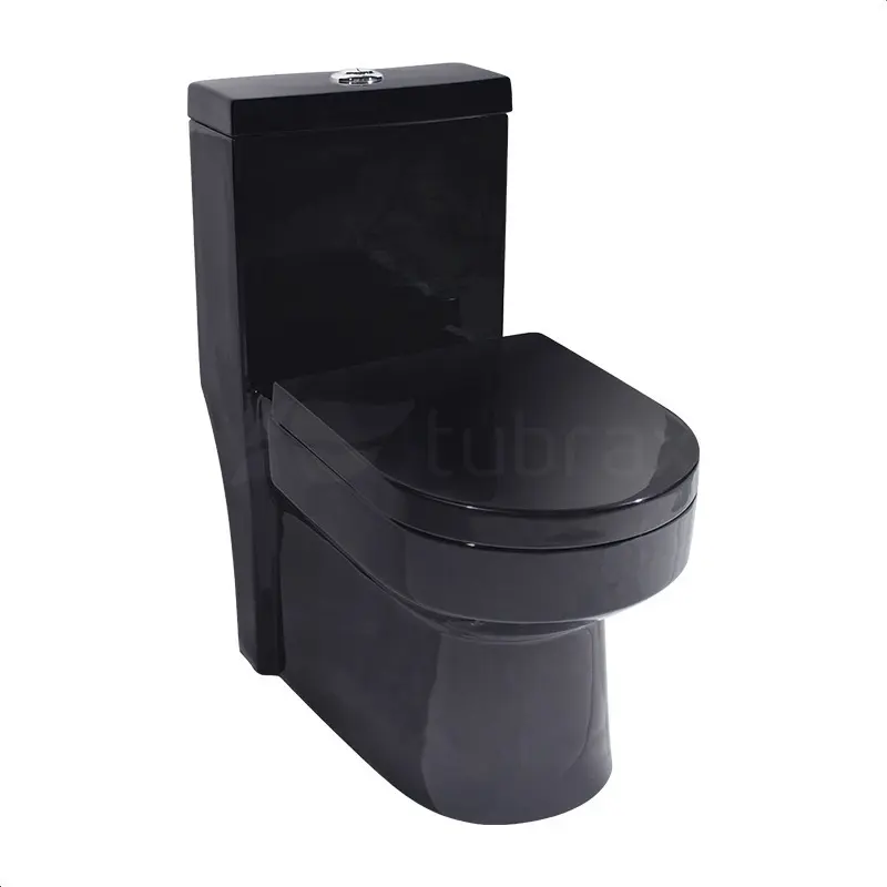 vaso sanitário com caixa acoplada