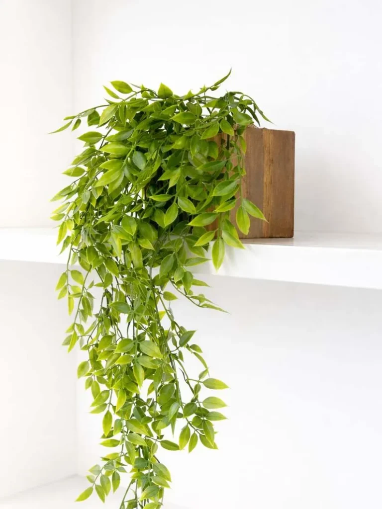 Planta decorativa para banheiro: 12 ideias elegantes para transformar seu ambiente 9 planta decorativa para banheiro