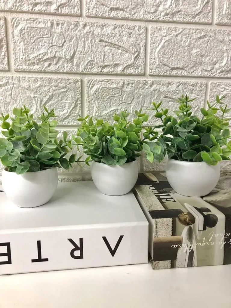 Planta decorativa para banheiro: 12 ideias elegantes para transformar seu ambiente 10 planta decorativa para banheiro
